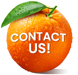 contact us orange